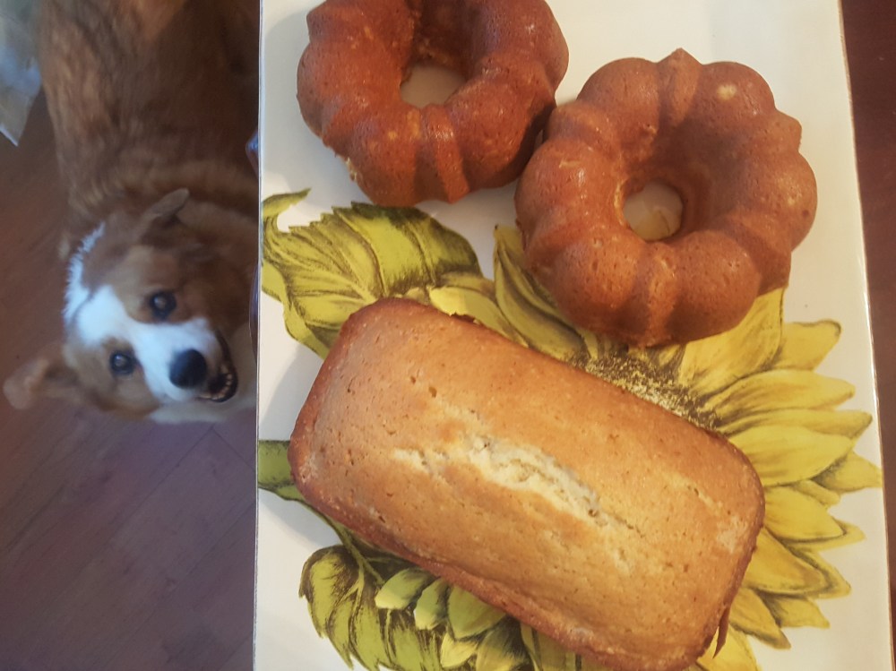 Judeau Looking Hungerly at Delicious Pound Cake